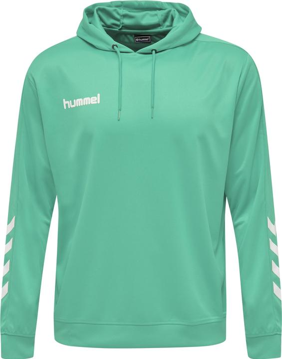 Immagine prodotto hummel Felpa Con Cappuccio In Polietilene Promozionale (S)