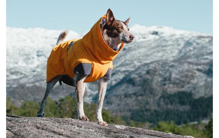 Produktbild Hurtta Expedition (55, M, Hundemantel)