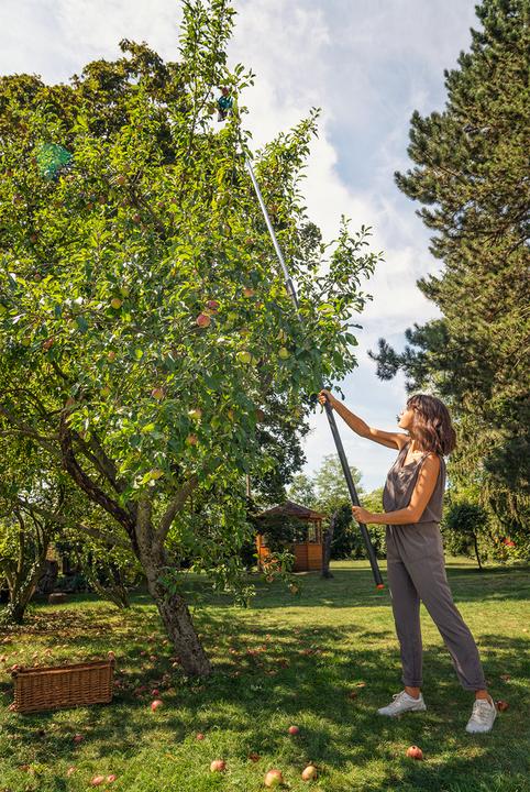Image du produit Gardena Cueilleuse de fruits Combisystem
