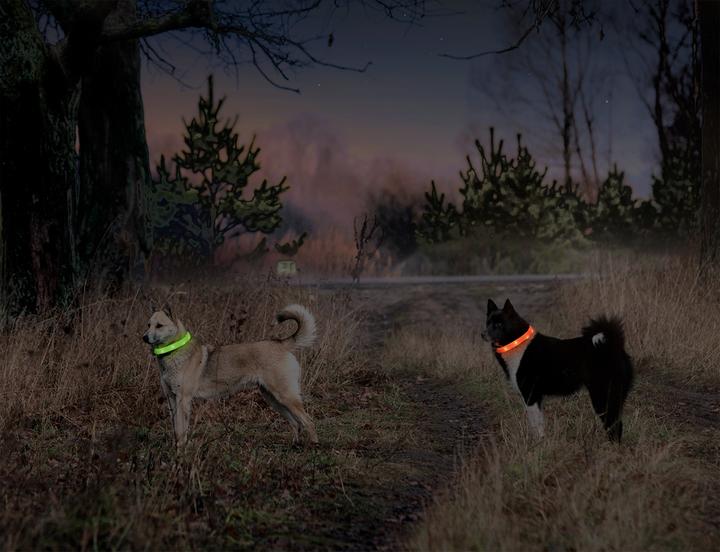 Immagine prodotto Karlie Visio (Cane, Passeggiare)