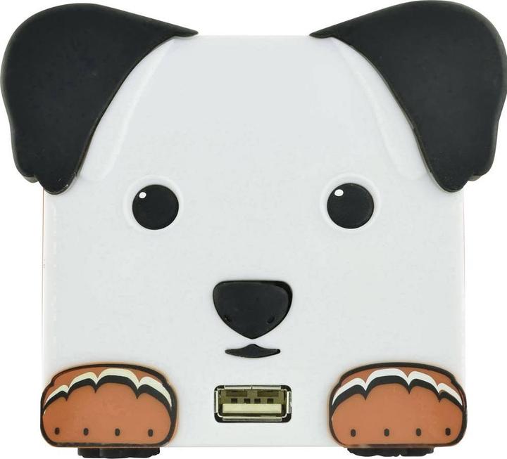 Actual product image X4 Bobby Joey DogBox