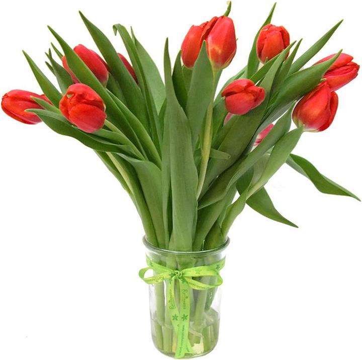 Produktbild Rutishauser Blumen Tulpen (Schnittblumen)