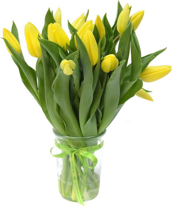 Rutishauser Blumen Tulpen (Schnittblumen)