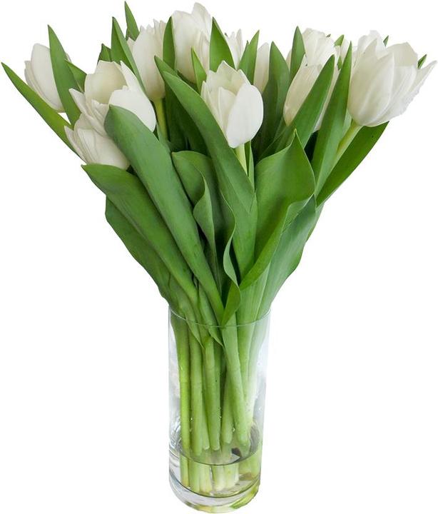 Actual product image Rutishauser Blumen Tulips (Cut flowers)