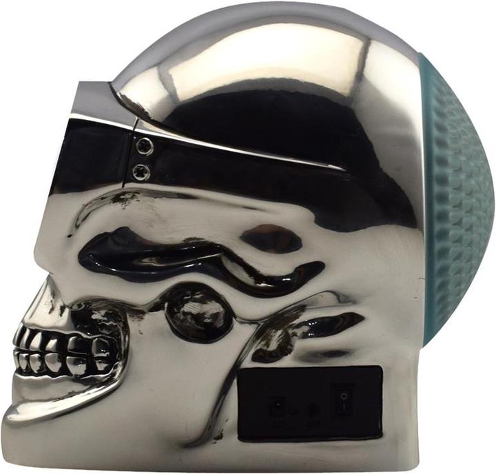 Actual product image YZSY Skully