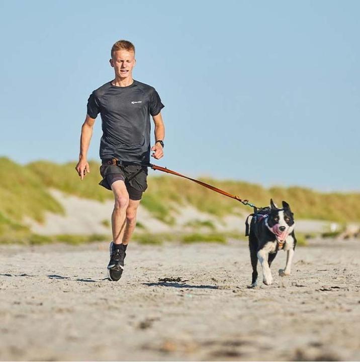 Actual product image Non-Stop Dogwear Bungee (M, Dog, Jogging)