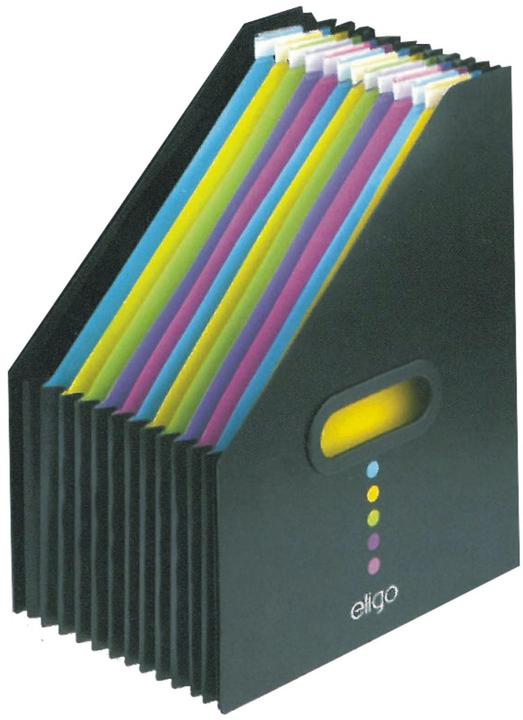 Produktbild Snopake Stehsammler A4 13 Fächer schwarz (A4)
