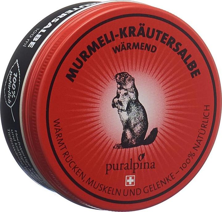 Produktbild Puralpina Murmeli-Kräutersalbe (1 x, 100 ml, 120 g)