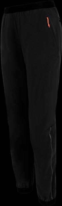 Actual product image Salewa Pedroc Durastretch Wool Trousers Da (Frequency band 38 (2600 MHz))