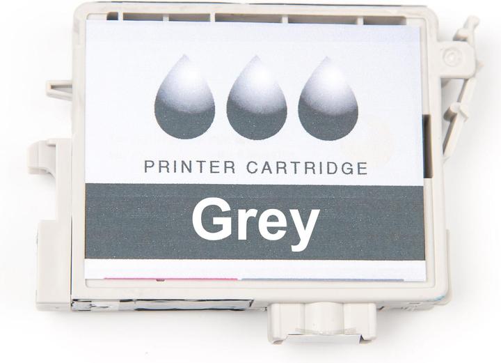 Actual product image Canon Ink PFI-1300 photo gray (PGY)