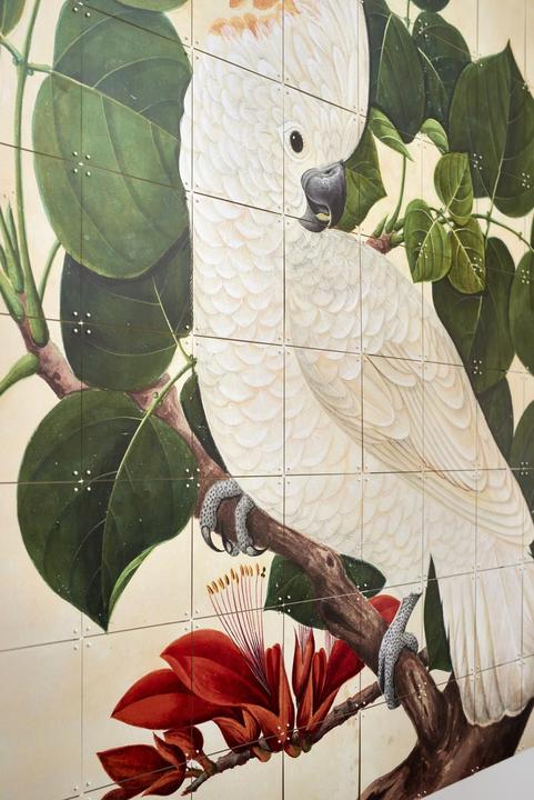 Produktbild Ixxi Cockatoo (80 x 100 cm)