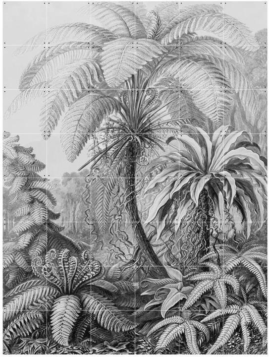 Ixxi Ferns (120 x 160 cm)