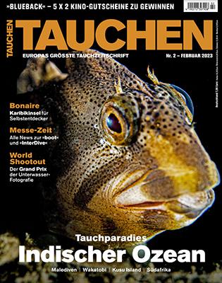 Produktbild Tauchen (12 Monate, Physisch)