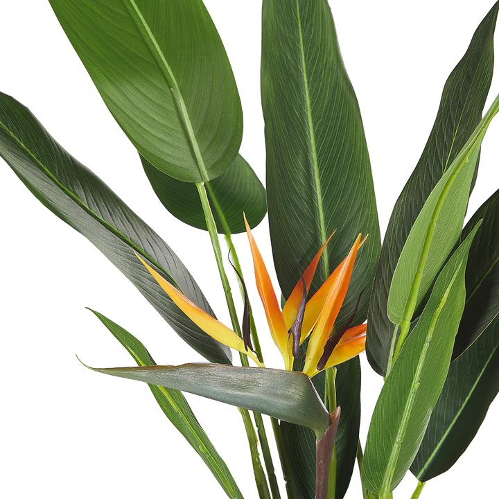 Produktbild Beliani Strelitzia Tree (115 cm)