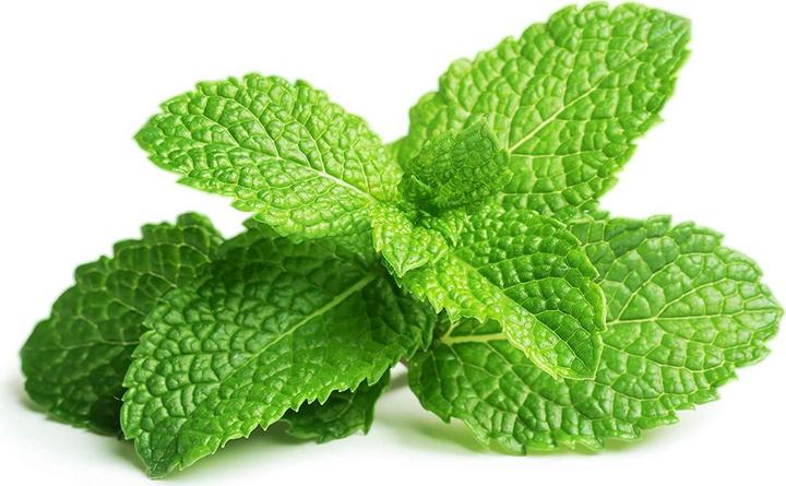 Image du produit Click and Grow Menthe poivrée (Graines d'herbes aromatiques)