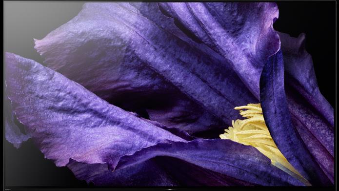 Immagine prodotto Sony KD-55AF9 (55", OLED, 4K, 2018)