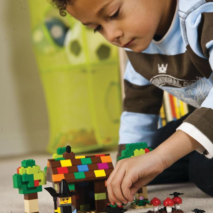 Produktbild LEGO Gestaltungselemente