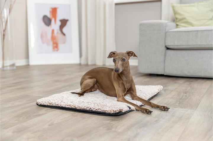 Image du produit Trixie Hunde-Liegematte Calida 60 cm x 45 cm (Chien)