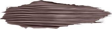 Immagine prodotto Max Factor Brow Revival (005 Nero Marrone)