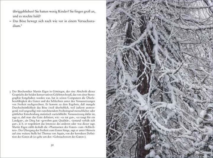 Produktbild Dezember (Deutsch, Gerhard Richter, Alexander Kluge, 2010)