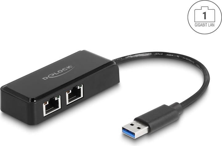Actual product image Delock USB Type-A adapter to 2 x Gigabit LAN (USB-C 3.2 Gen 1, RJ45 (2x))