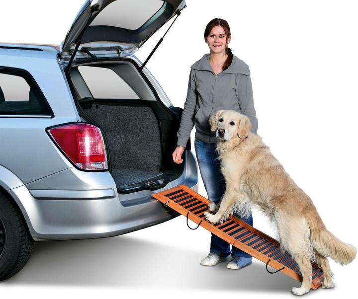 Image du produit Karlie Rampe pliante pour chiens (Chien, Pliable)