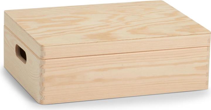 Image du produit Zeller Present Boîte polyvalente (40 x 30 x 14 cm, 17 l)