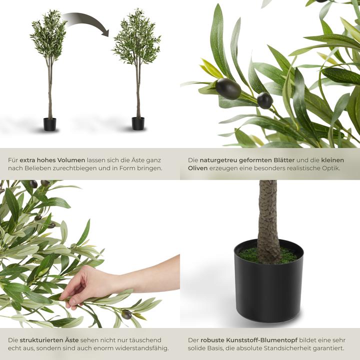 Immagine prodotto tectake Olivenbaum Oleand (150 cm)