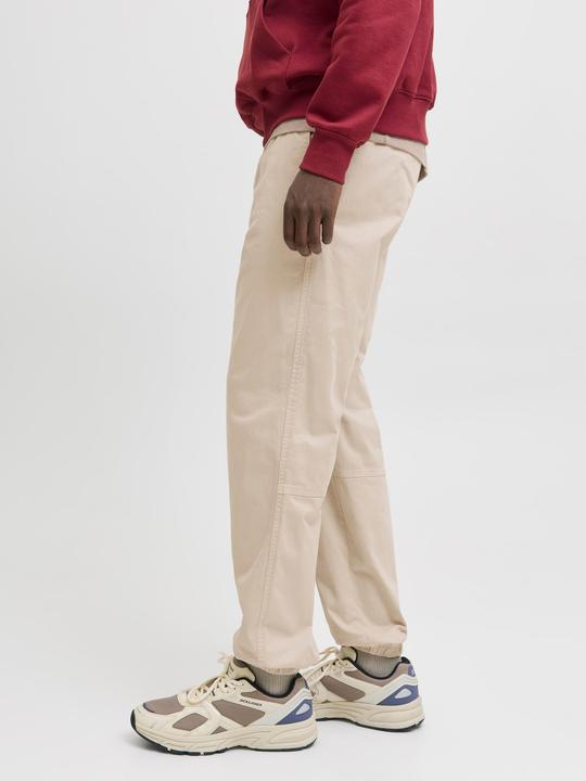 Actual product image Jack & Jones Jpstkane Troy Cuffed Jogger Sn (L)