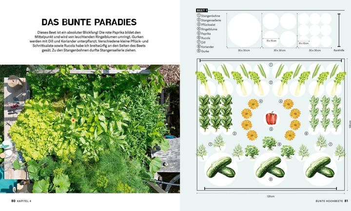 Produktbild Bunte Beete - Einfach gärtnern mit intensiver Bepflanzung in Hochbeet und Freiland (Deutsch, Saskia Voigt, 2025)