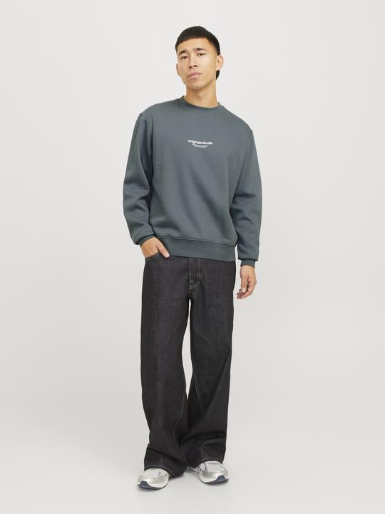 Immagine prodotto Jack & Jones Jorvesterbro Sweat Crew Neck Noos (L)