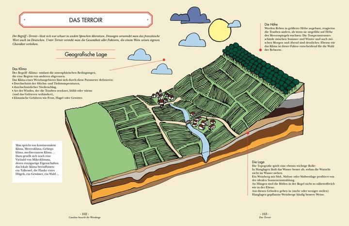 Produktbild Wein (Deutsch, Ophélie Neiman, Carla Gröppel-Wegener, DK Verlag, 2023)