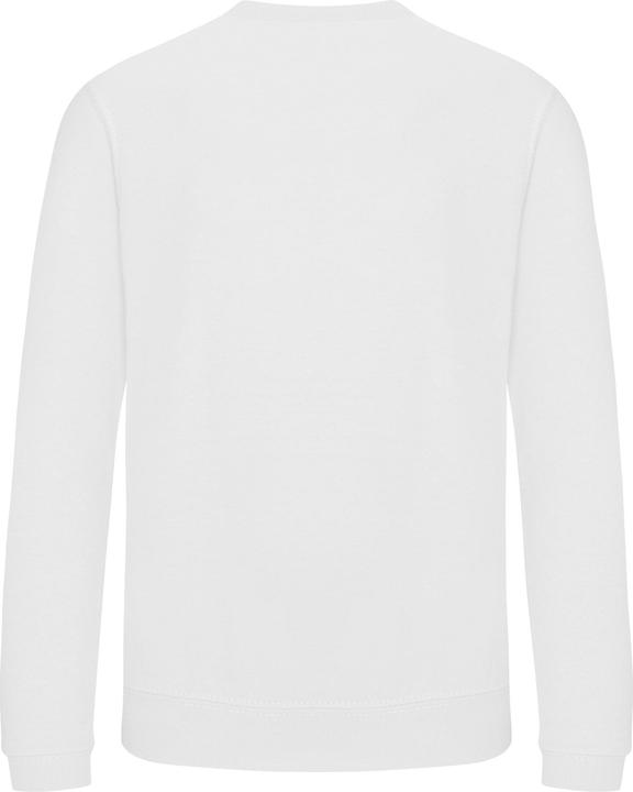 Blanc arctique
