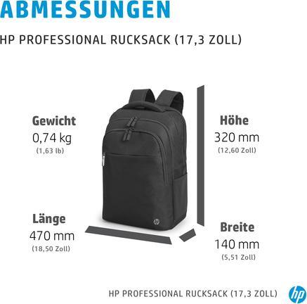 Actual product image HP Professional Notebook Backpack