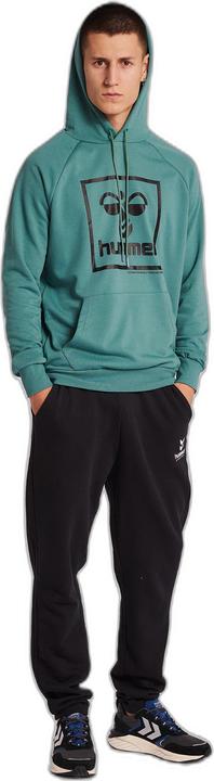 Image du produit hummel ISAM 2.0 HOODIE (M)