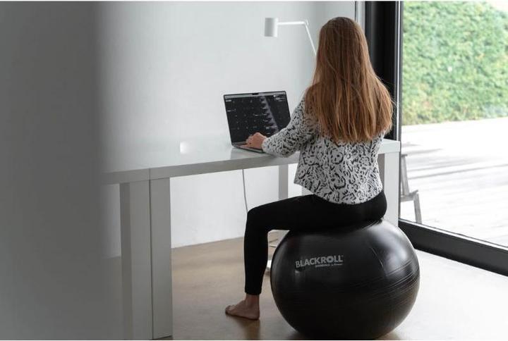 Actual product image Blackroll Gymball (65 cm)