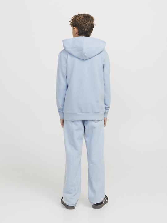 Actual product image Jack & Jones Jjecaleb Varsity Sweat Hood Noos Jnr (128)