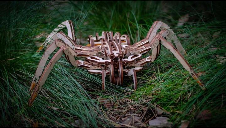 Actual product image Eco Wood Art spider