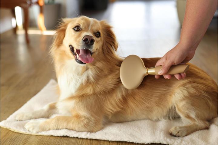 Actual product image Magic Brush Soft plucking brush for dogs (Dog)