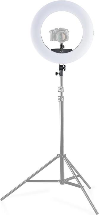 Actual product image Walimex pro Pro LED ring light Medow 960 Pro Bi Color (Ring light)