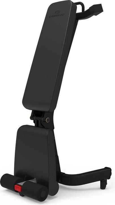 Actual product image Bowflex 3.1S Bench