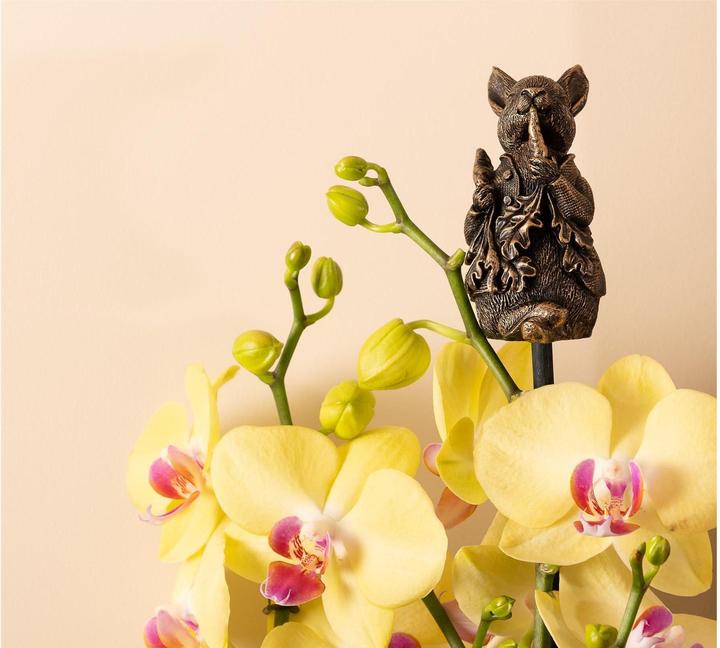 Image du produit Jardinopia Cane Companions Peter Rabbit (autres éléments)