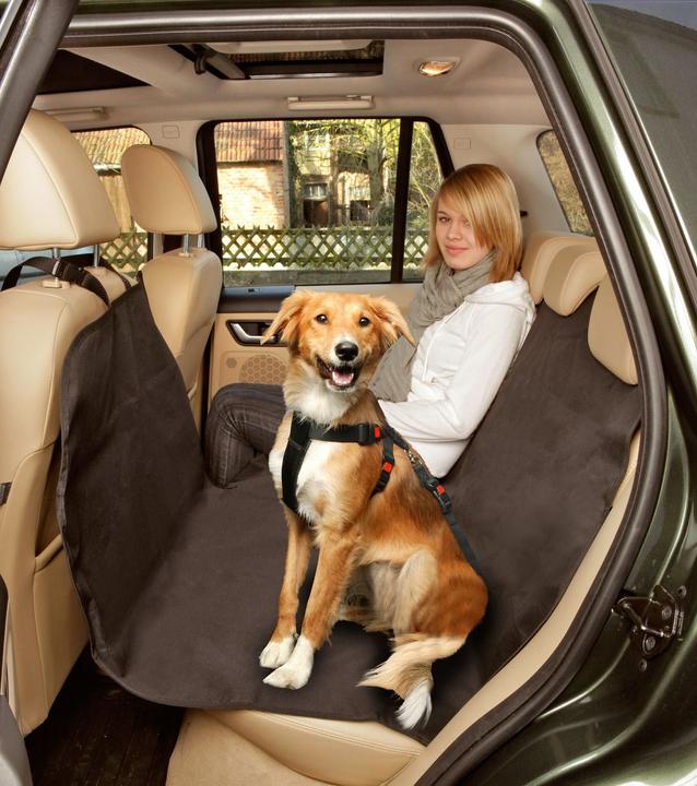 Actual product image Karlie Car Safe Easy (Dog, Washable)