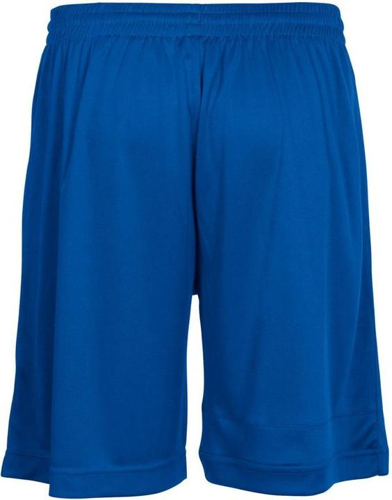 Actual product image Stanno Field Shorts (140)