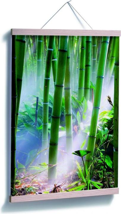 Produktbild Trenddeko Bamboo Forest (70 x 100 cm)