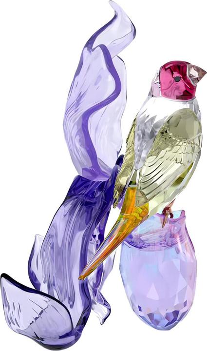 Produktbild Swarovski Idyllia Gouldamadine und Orchidee