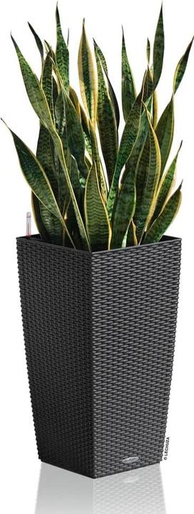 Actual product image Lechuza Cubico Cottage (29.50 cm)