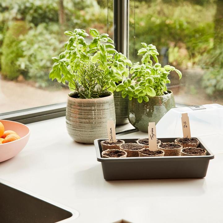 Produktbild Siena Garden Anzuchthaus