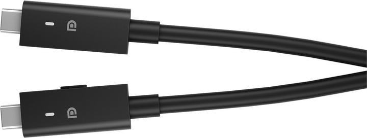 Productafbeelding Dell W125771177 (USB-C, 2 Havens)