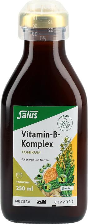 Actual product image Salus Vitamin-B-Komplex (1 Piece, Liquid, 601 g)